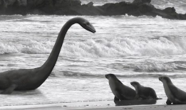 水怪视频,视频揭秘神秘生物之谜