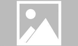 张柏芝视频,生活点滴与育儿心得